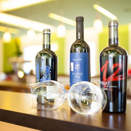 Restaurant Vater Rhein Hotel 3*