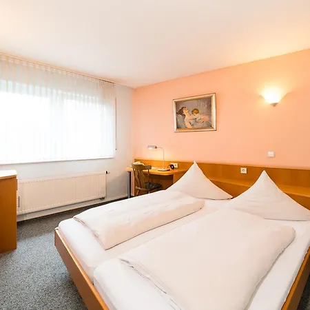 Hotel Restaurant Vater Rhein 3*