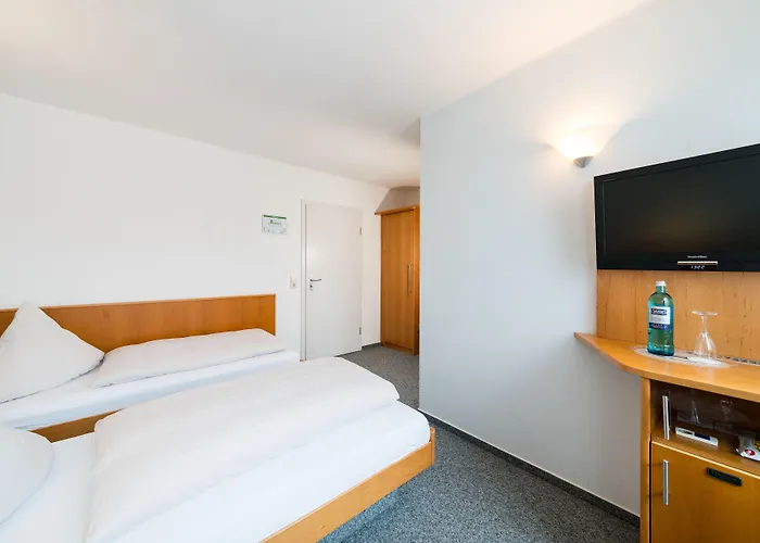 Hotel Restaurant Vater Rhein Woerth am Rhein