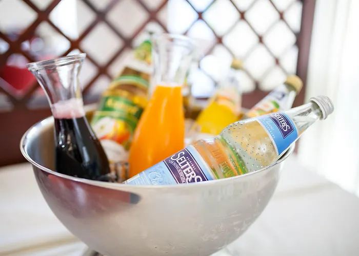 Hotel Restaurant Vater Rhein 3*