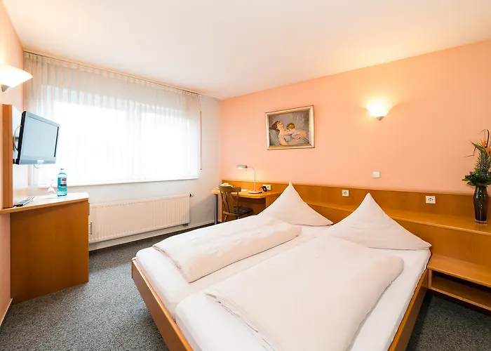 Hotel Restaurant Vater Rhein 3*